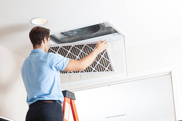 Best Air Filters and Purifiers in Foxfire, NC